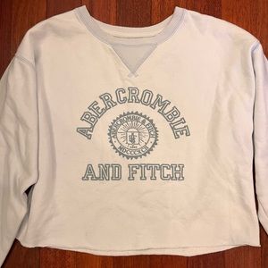 Light Blue Cropped Abercrombie Sweatshirt